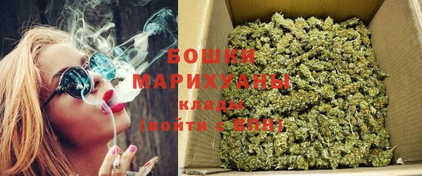 сатива Алзамай
