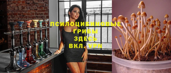 сатива Алзамай