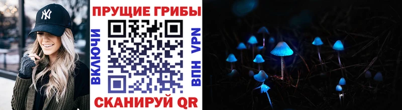 Псилоцибиновые грибы Magic Shrooms Павлово