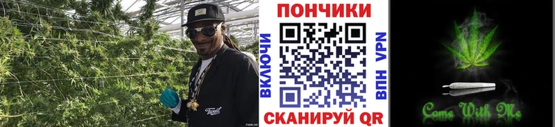 Каннабис планчик  как найти закладки  Павлово 